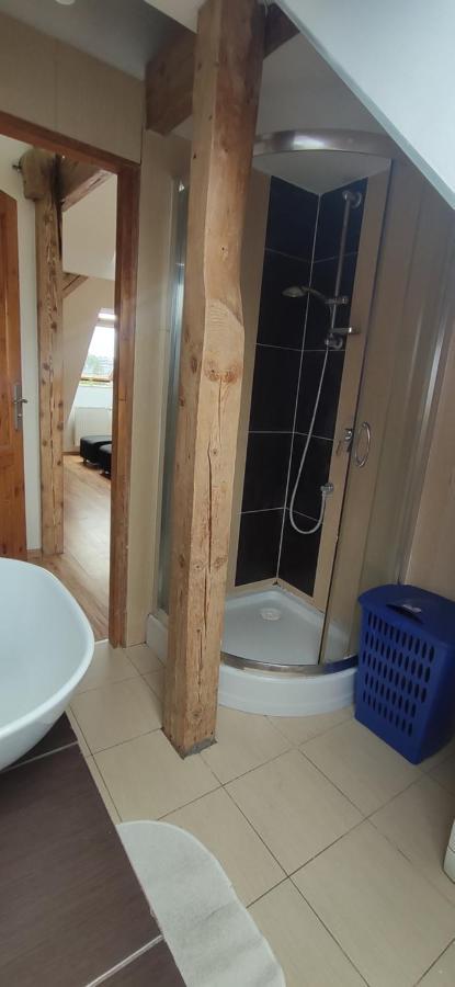 Apartament Gliwice Centrum Dış mekan fotoğraf